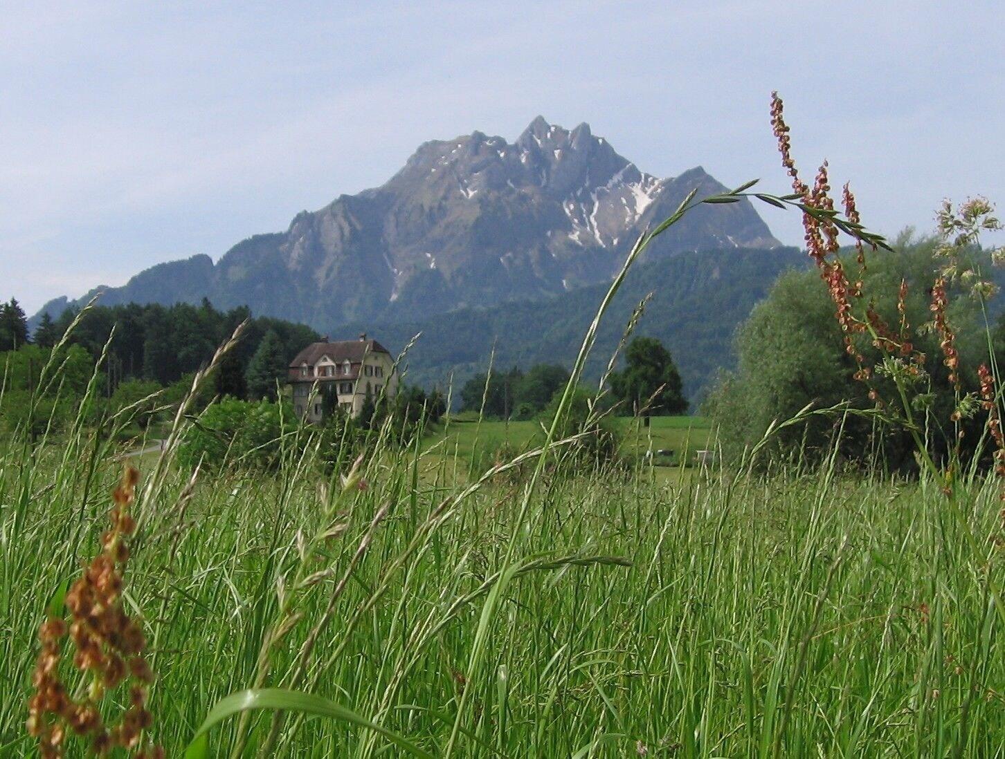 Hotel Felmis